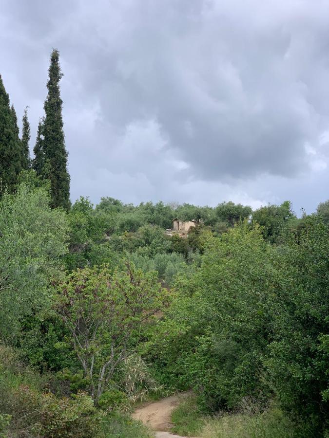 Villa Delfini Храни Экстерьер фото